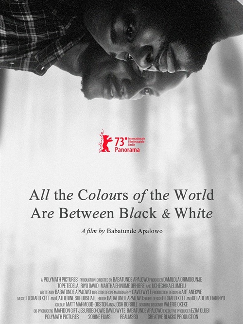 All the Colours of the World are between Black and White film affiche réalisé par Babatunde Apalowo