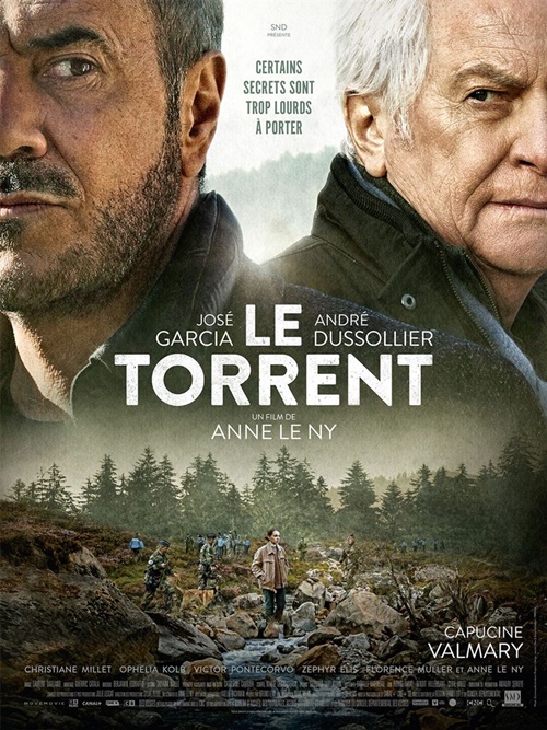 Le Torrent film affiche réalisé par Anne Le Ny
