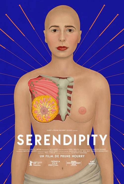Serendipity film documentaire affiche