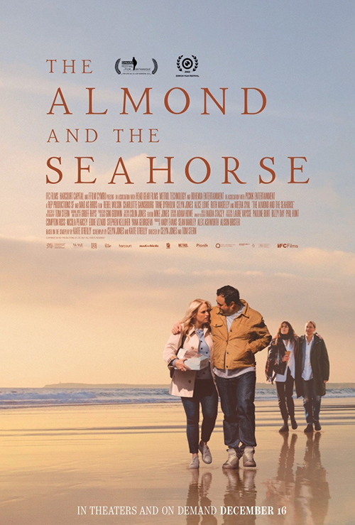 the-almond-and-the-seahorse-affiche